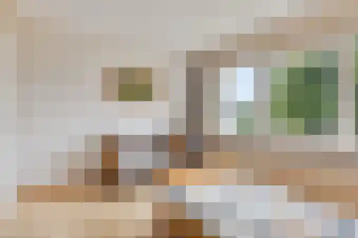 Julianastraat 147 Haaksbergen thumbnail 30