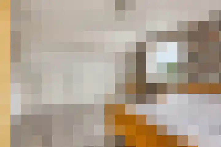 Julianastraat 147 Haaksbergen thumbnail 38