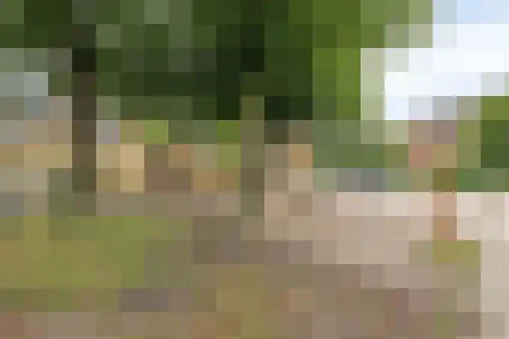 Julianastraat 147 Haaksbergen thumbnail 39