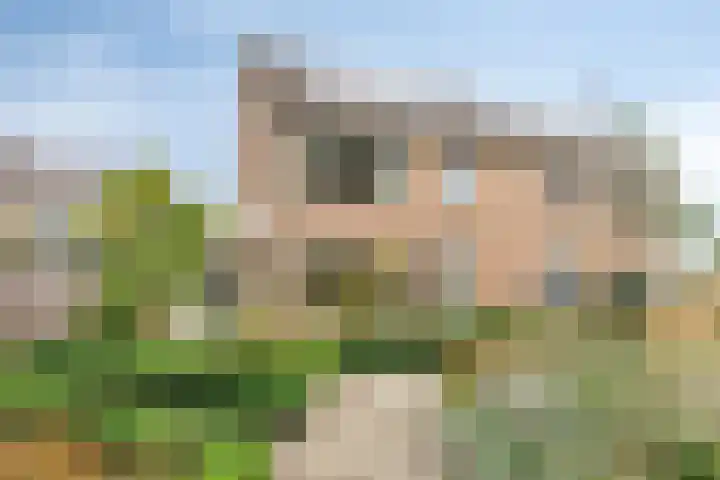 Julianastraat 147 Haaksbergen thumbnail 42