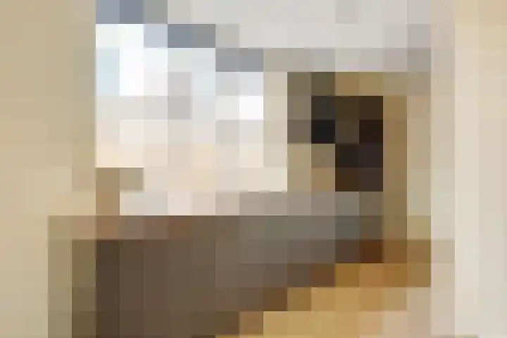 Julianastraat 15 A Koog aan de Zaan thumbnail 10