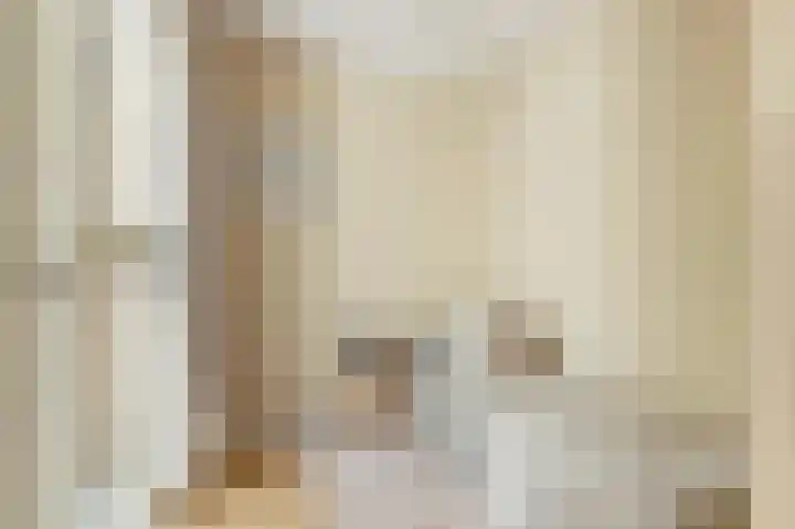 Julianastraat 15 A Koog aan de Zaan thumbnail 16