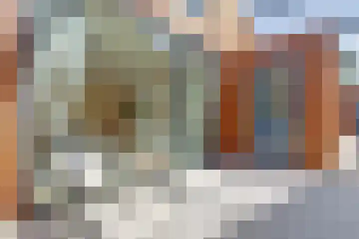 Julianastraat 15 A Koog aan de Zaan thumbnail 23