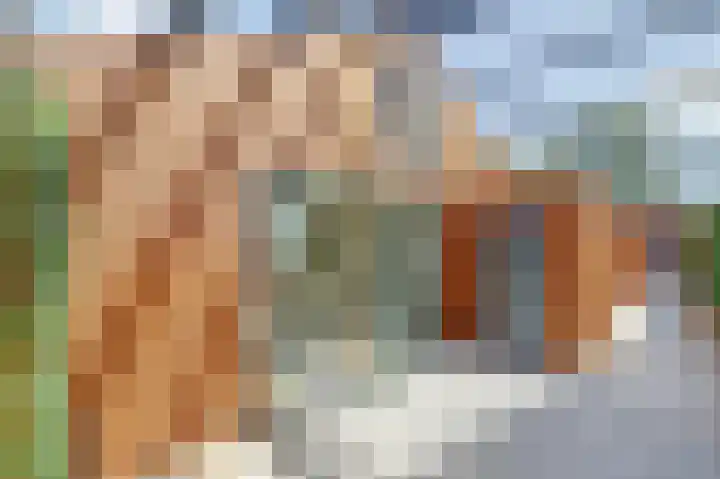 Julianastraat 15 A Koog aan de Zaan thumbnail 24