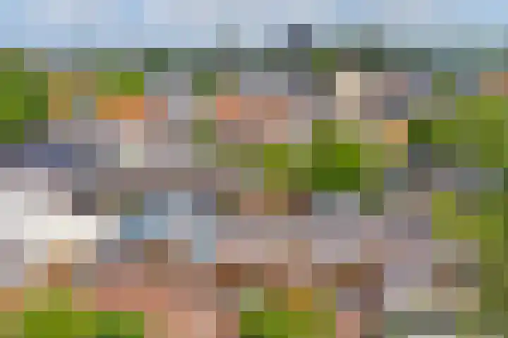 Julianastraat 15 A Koog aan de Zaan thumbnail 28