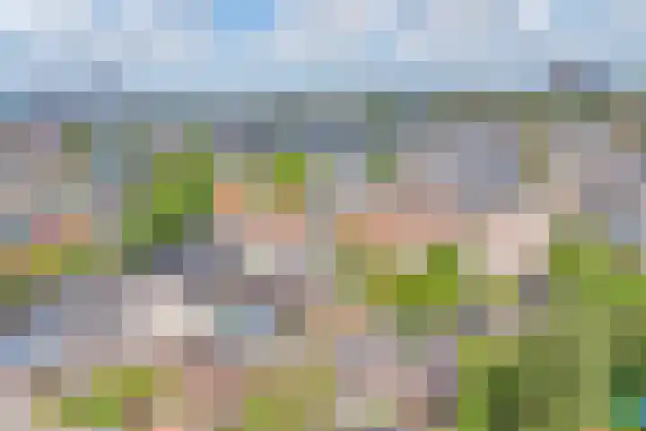 Julianastraat 15 A Koog aan de Zaan thumbnail 30