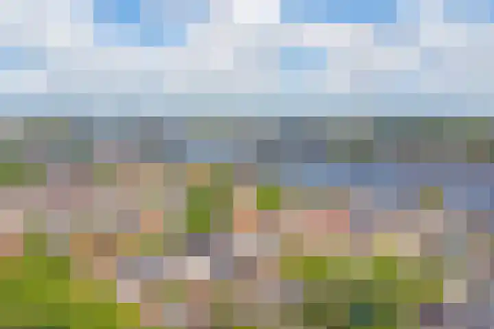 Julianastraat 15 A Koog aan de Zaan thumbnail 32