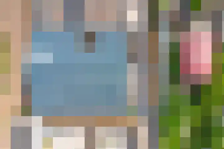 Julianastraat 15 A Koog aan de Zaan thumbnail 34