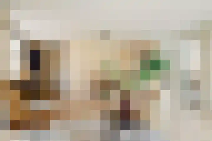 Julianastraat 15 A Koog aan de Zaan thumbnail 6