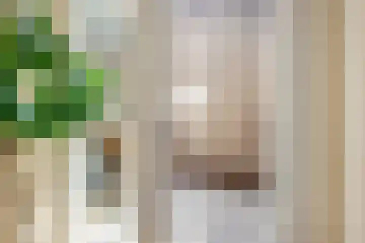 Julianastraat 15 A Koog aan de Zaan thumbnail 7