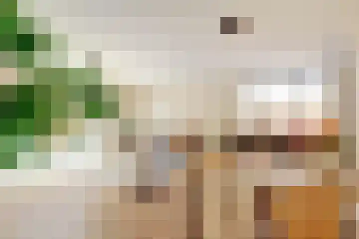 Julianastraat 15 A Koog aan de Zaan thumbnail 8