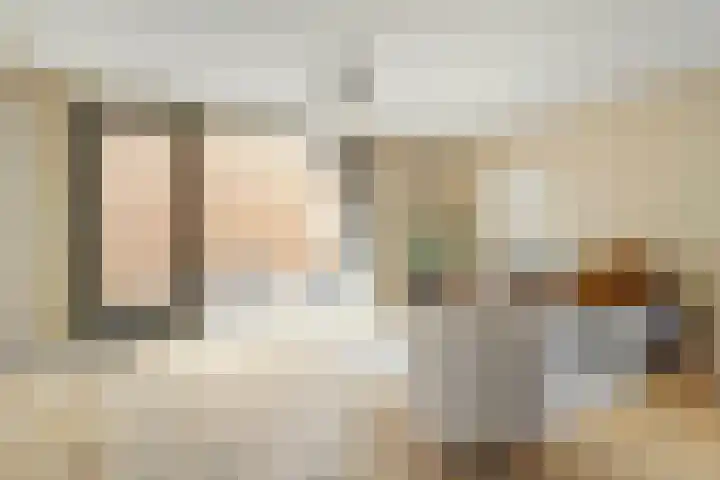 Julianastraat 15 A Koog aan de Zaan thumbnail 9