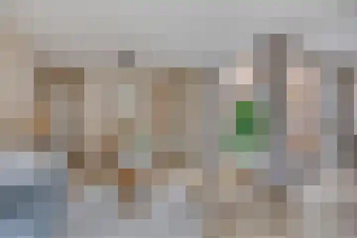 Julianastraat 15 B Koog aan de Zaan thumbnail 11