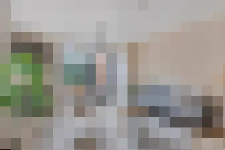 Julianastraat 15 B Koog aan de Zaan thumbnail 13