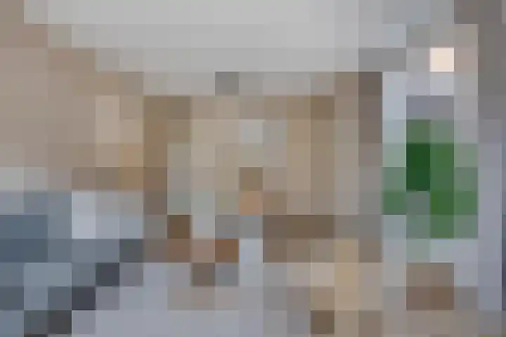 Julianastraat 15 B Koog aan de Zaan thumbnail 14