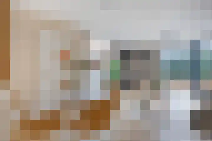 Julianastraat 15 B Koog aan de Zaan thumbnail 16