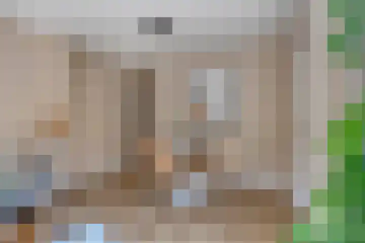 Julianastraat 15 B Koog aan de Zaan thumbnail 17