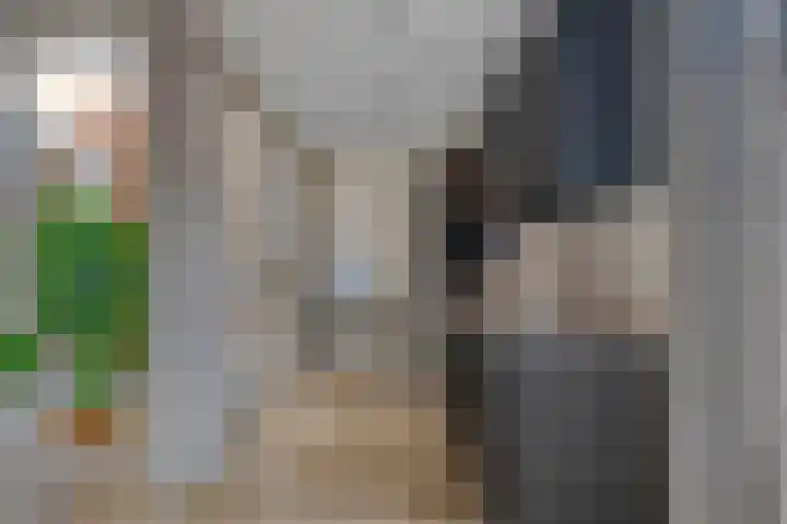 Julianastraat 15 B Koog aan de Zaan thumbnail 18