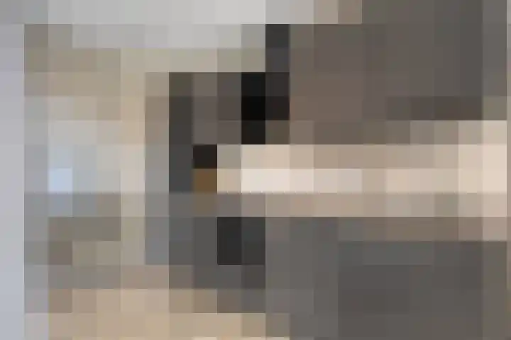 Julianastraat 15 B Koog aan de Zaan thumbnail 19