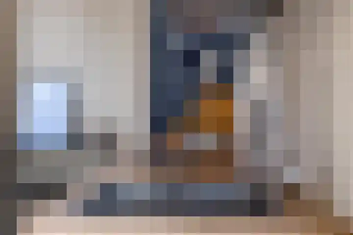 Julianastraat 15 B Koog aan de Zaan thumbnail 23