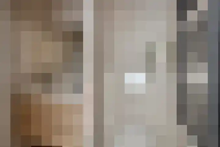 Julianastraat 15 B Koog aan de Zaan thumbnail 28