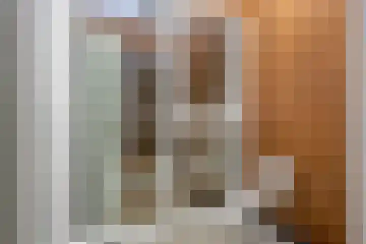 Julianastraat 15 B Koog aan de Zaan thumbnail 32