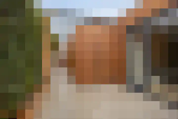 Julianastraat 15 B Koog aan de Zaan thumbnail 33
