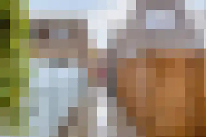 Julianastraat 15 B Koog aan de Zaan thumbnail 35