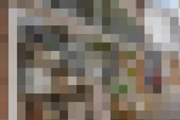 Julianastraat 15 B Koog aan de Zaan thumbnail 36