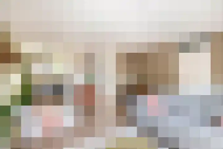 Julianastraat 15 b Lekkerkerk thumbnail 10