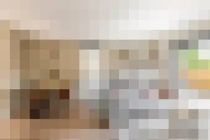 Julianastraat 15 b Lekkerkerk thumbnail 11