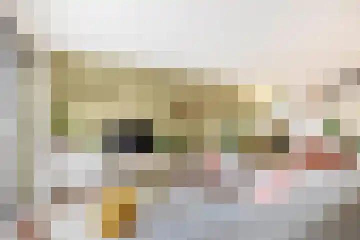 Julianastraat 15 b Lekkerkerk thumbnail 12