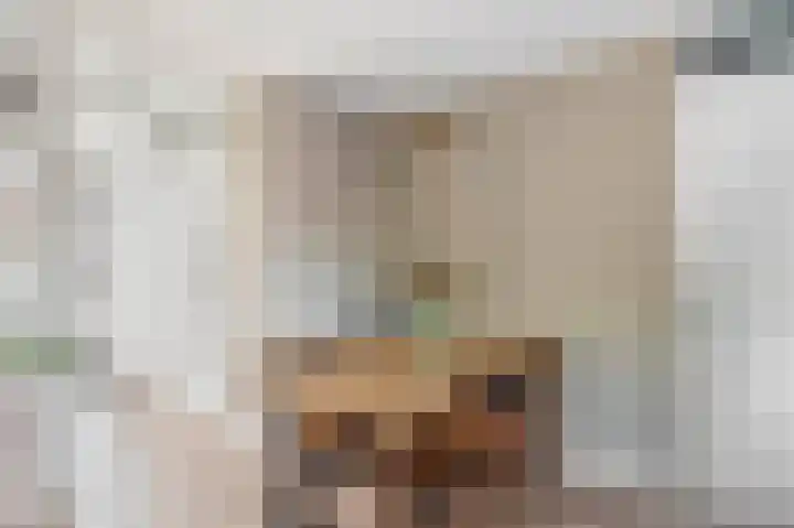 Julianastraat 15 b Lekkerkerk thumbnail 13