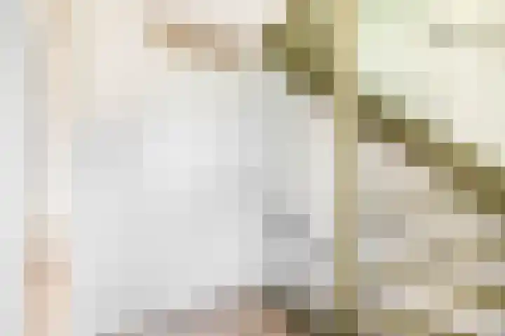Julianastraat 15 b Lekkerkerk thumbnail 17