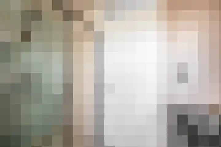 Julianastraat 15 b Lekkerkerk thumbnail 21