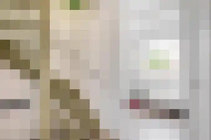 Julianastraat 15 b Lekkerkerk thumbnail 23