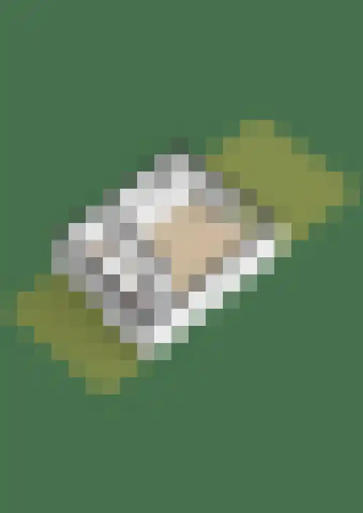 Julianastraat 15 b Lekkerkerk thumbnail 34