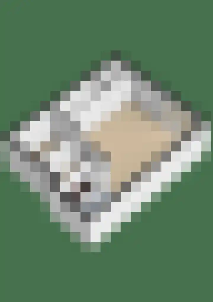 Julianastraat 15 b Lekkerkerk thumbnail 36