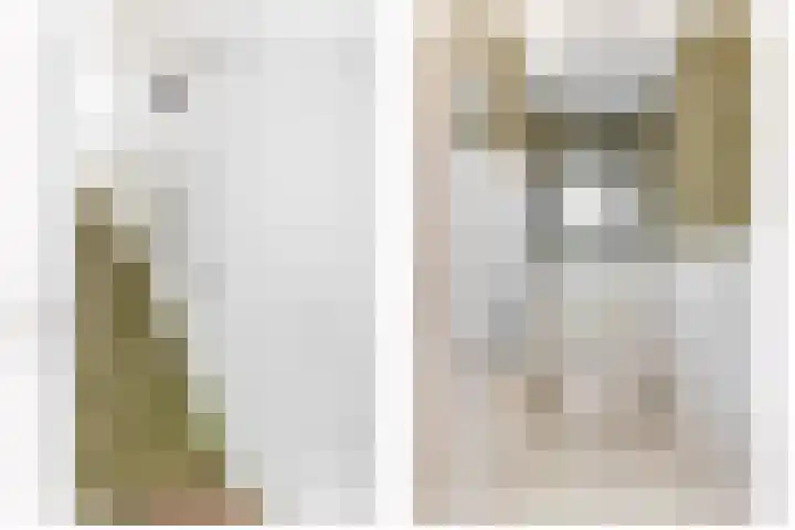 Julianastraat 15 b Lekkerkerk thumbnail 7