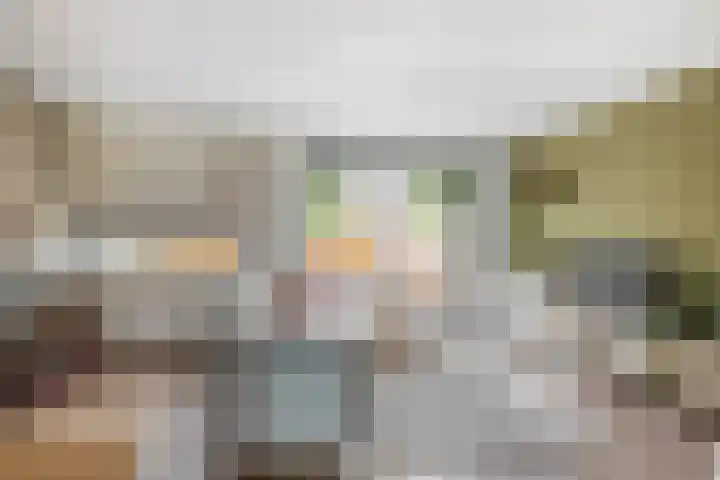 Julianastraat 15 b Lekkerkerk thumbnail 9