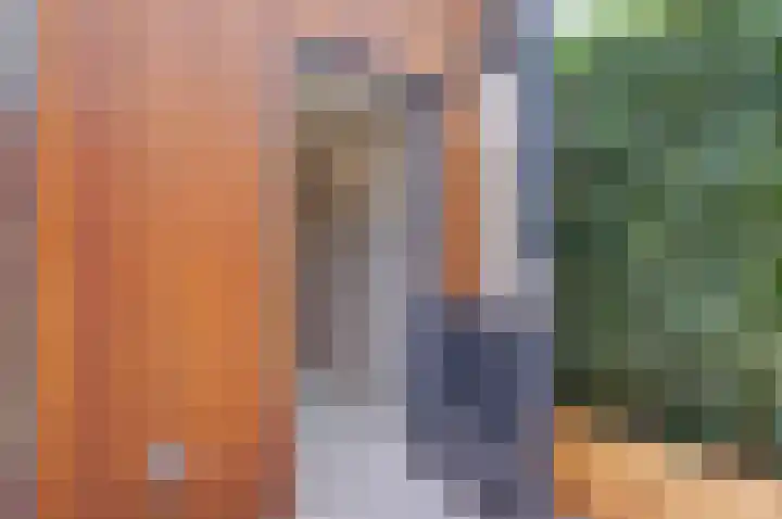Julianastraat 15 C Koog aan de Zaan thumbnail 20