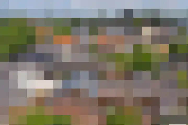 Julianastraat 15 C Koog aan de Zaan thumbnail 23