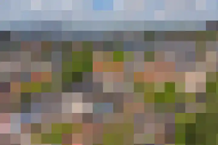 Julianastraat 15 C Koog aan de Zaan thumbnail 24