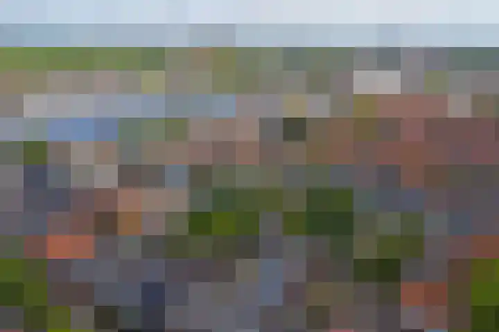 Julianastraat 15 C Koog aan de Zaan thumbnail 25