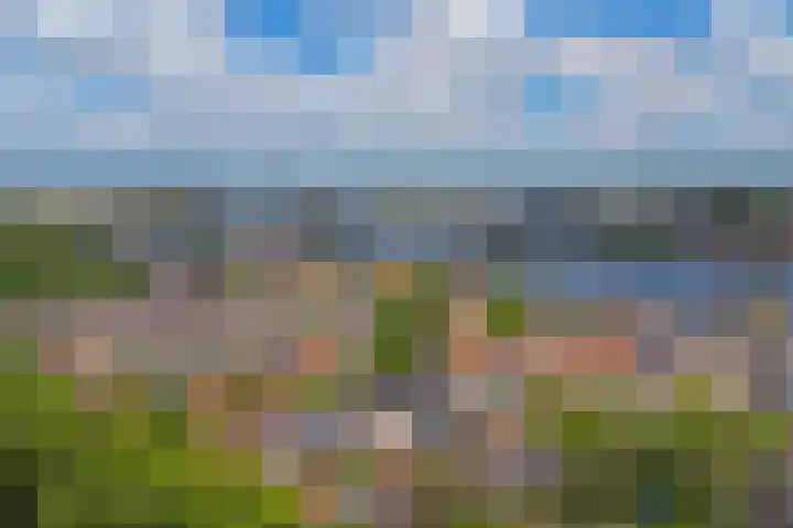 Julianastraat 15 C Koog aan de Zaan thumbnail 26