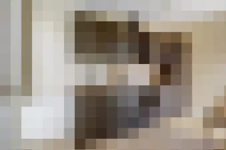 Julianastraat 15 C Koog aan de Zaan thumbnail 8