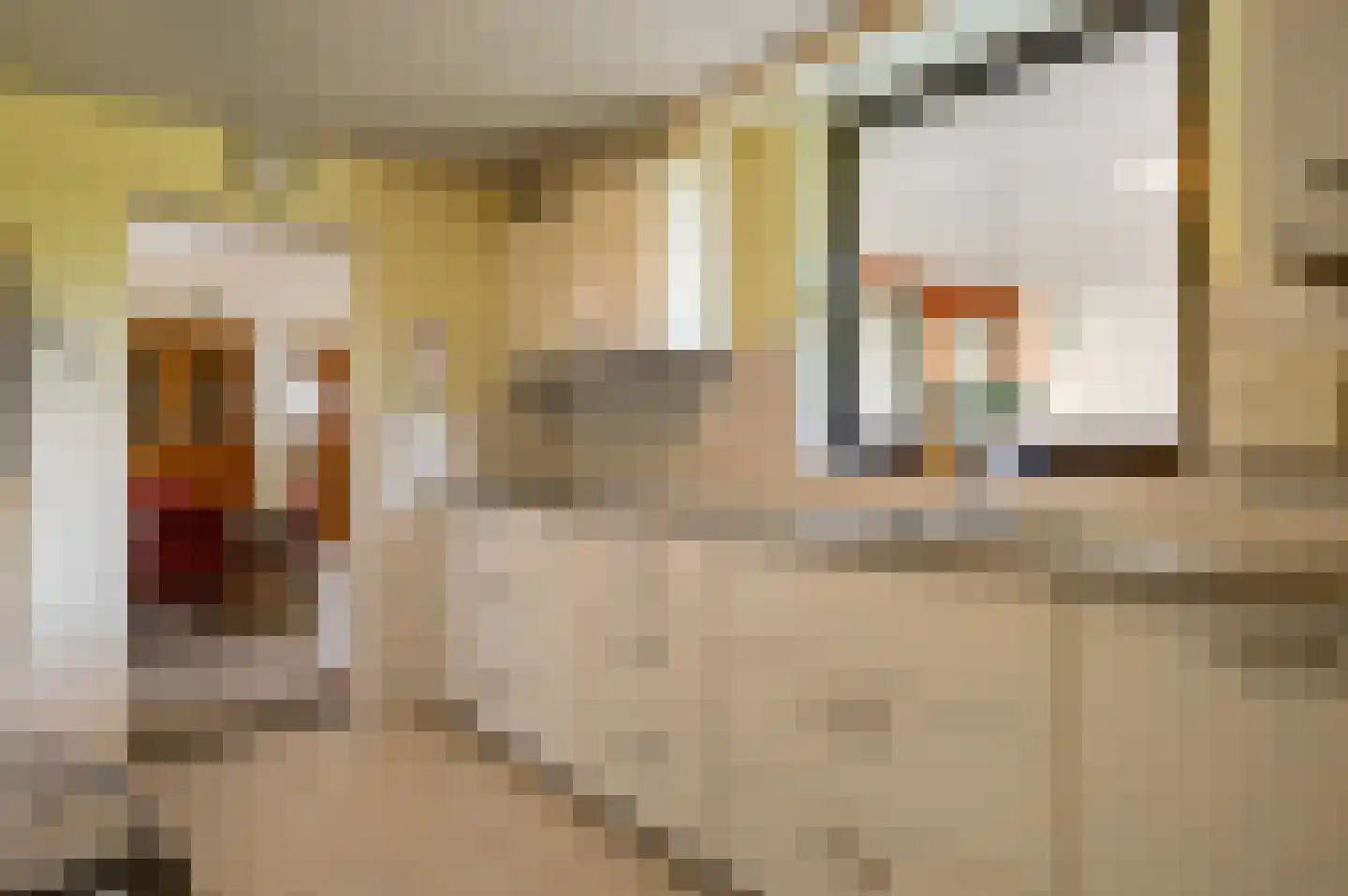 Julianastraat 15 Heel thumbnail 11