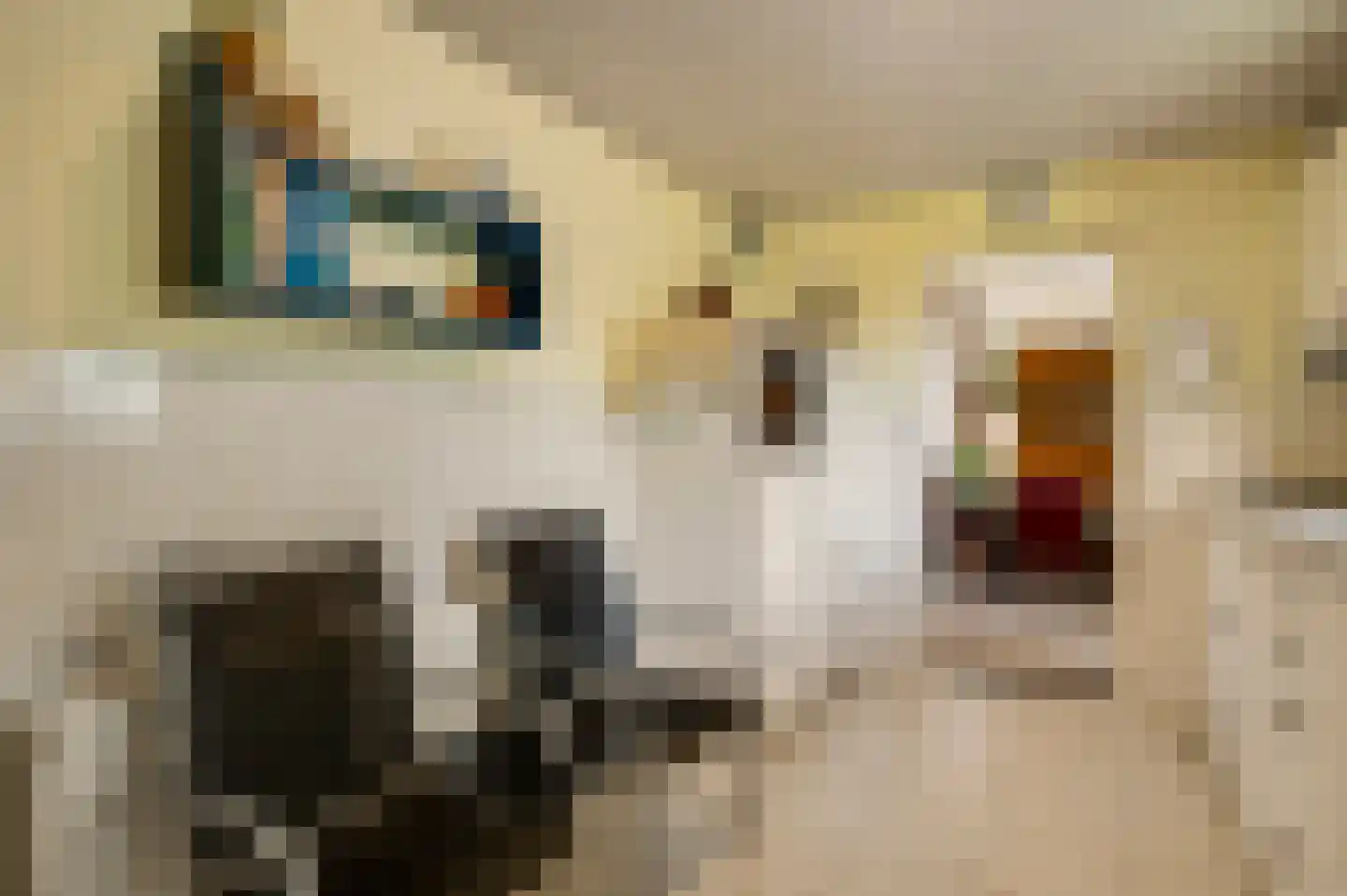 Julianastraat 15 Heel thumbnail 12