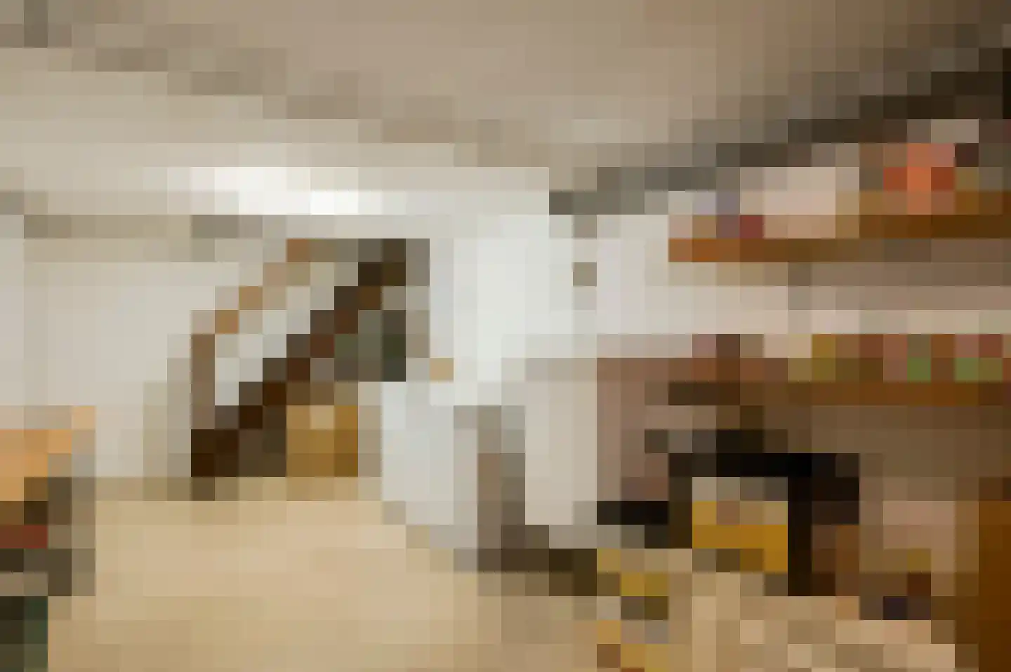 Julianastraat 15 Heel thumbnail 16