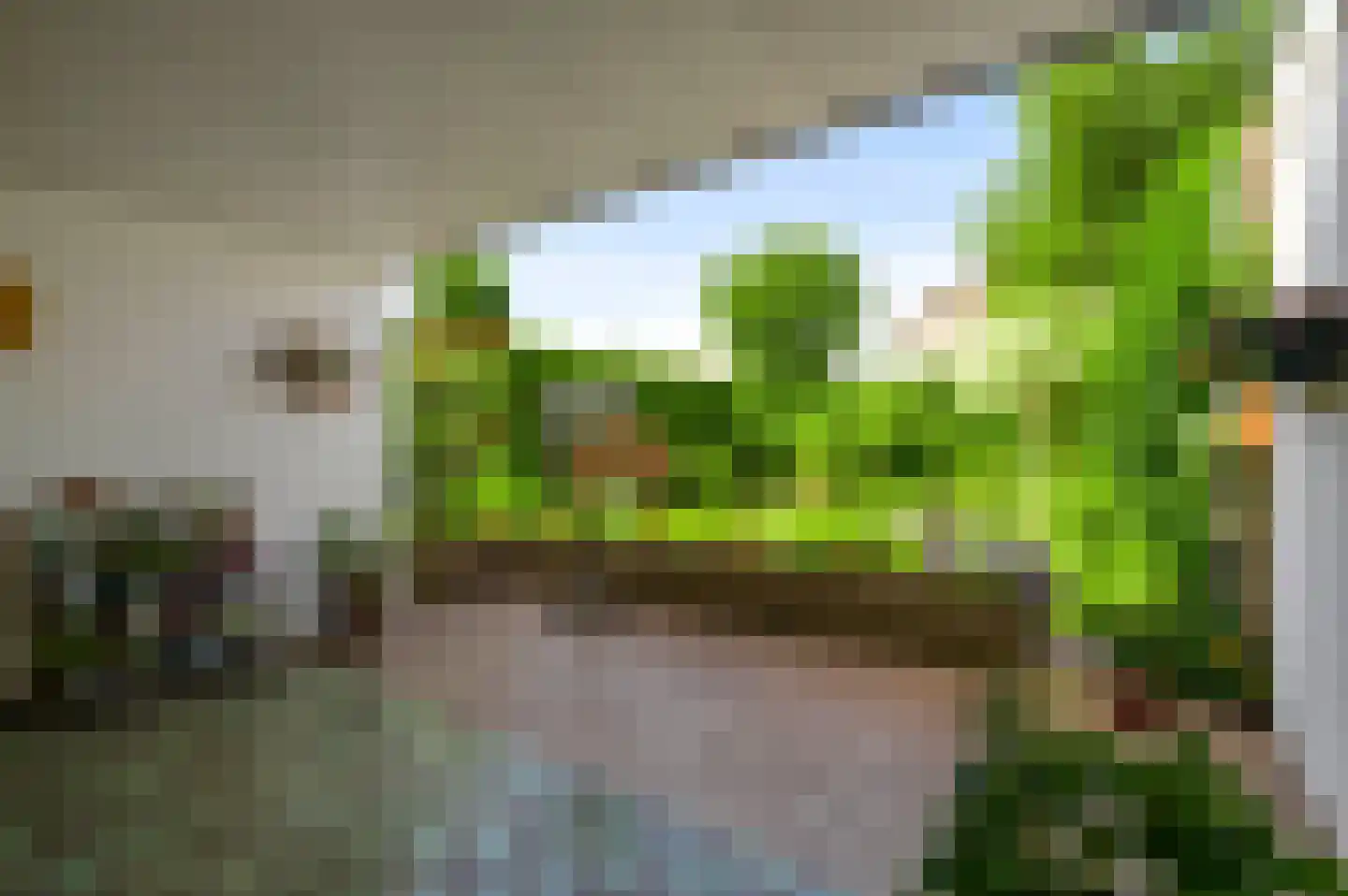 Julianastraat 15 Heel thumbnail 17